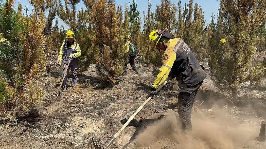 MinecOficial's tweet photo. #AHORA| "Nuestra Brigada llegó con humildad y amor para ayudar al pueblo de Chile" Pdte. @NicolasMaduro 

@delcyrodriguezv @JosueLorcaV @_Vpsops https://t.co/Ekcf7epHZm