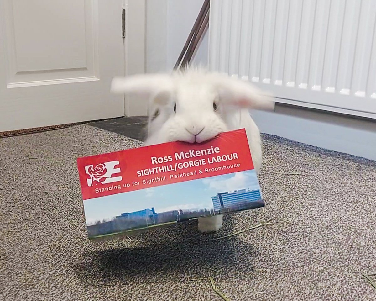 FCH00LE's tweet photo. @guessweredone Gary and me stand by our nomination vote and are happy to have a cracking independent councillor. https://t.co/otOr6JR3zy