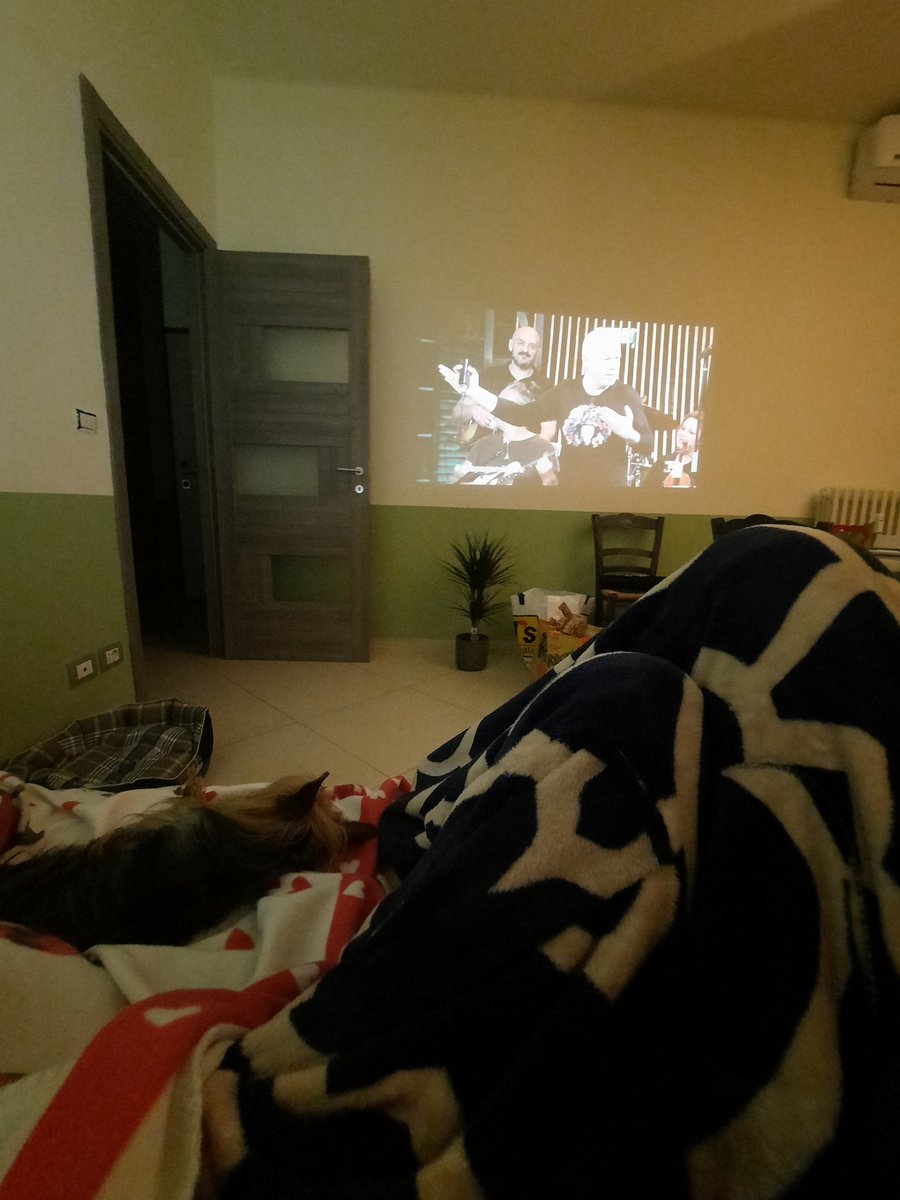 T4cco's tweet photo. Casa nuova, ancora niente mobili e TV, ma i muri quelli ci sono e sono adatti a proiettare #propagandalive inaugurando il divano appena arrivato! @welikeduel 🧔👩🐶 https://t.co/LzDDMoFnK4