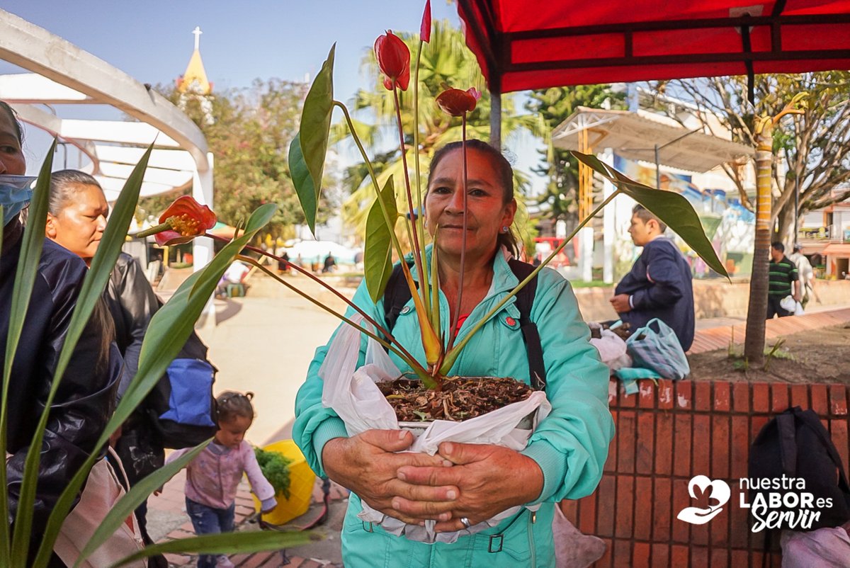 alcaldiadeisnos's tweet photo. #MercadoCampesino| 'Todos somos campo, todos somos Isnos'. 🌱🌾Compartimos algunos momentos del Mercado Campesino que se realizó hoy, en el Parque Principal.
¡Apoyemos juntos el campo insense!
#AlcaldíaDeIsnos #Isnos #NuestraLaborEsServir https://t.co/L7Y6lFucGw