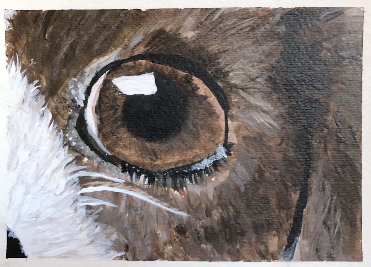 Mrs. Debra Ryland tweet media