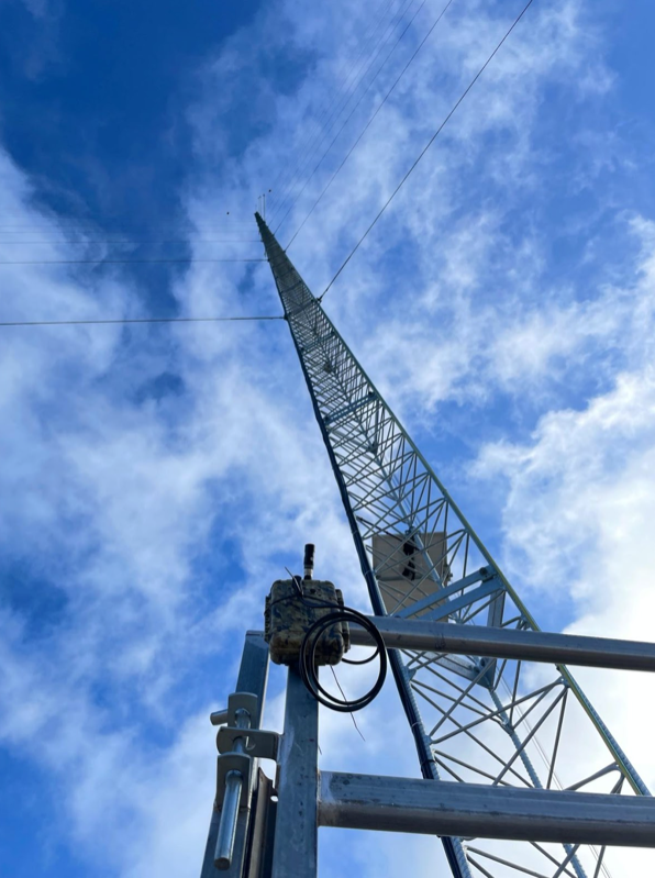 In our latest blog, ecologists Mervyn Mason and Greg Ford argue that Australia needs a standard and consistent approach to bird and bat utilisation surveys for wind farms.

Find out why 👇🏼

ecolsoc.org.au/blog/national-…