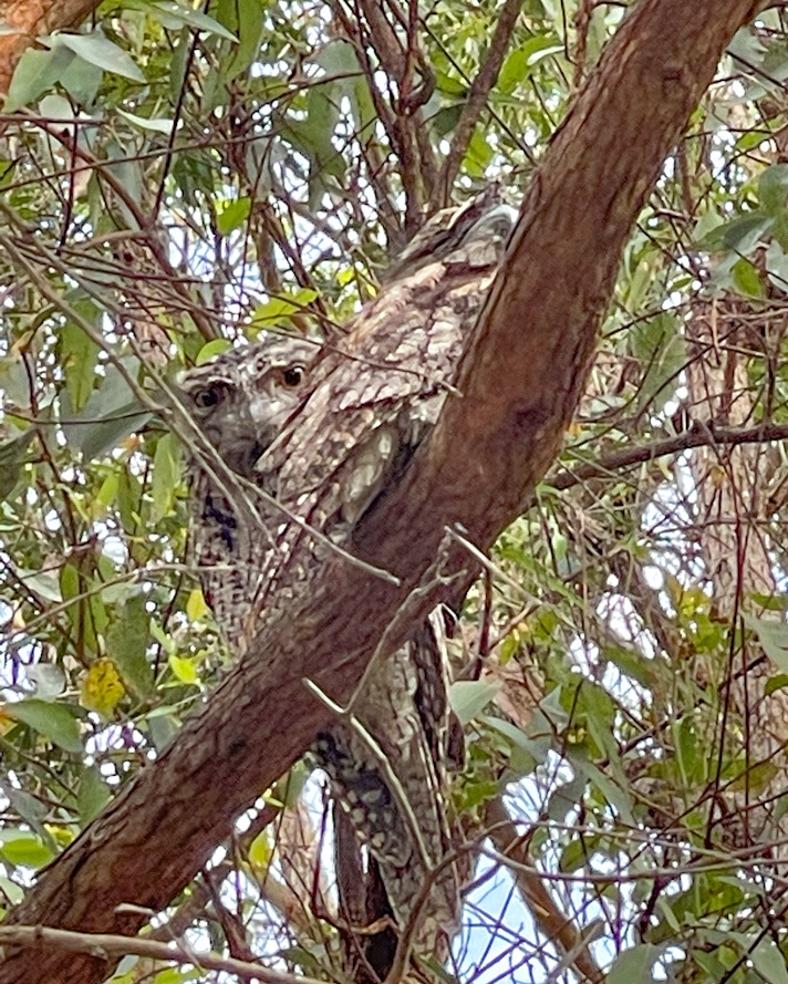 Need Time Away tweet media