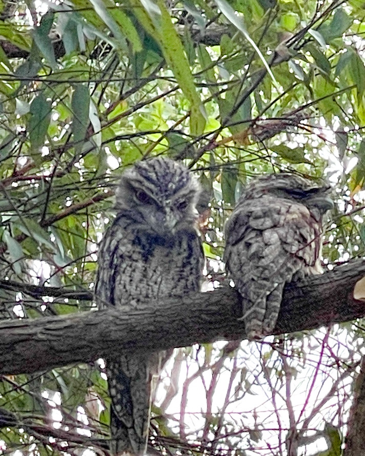 Need Time Away tweet media