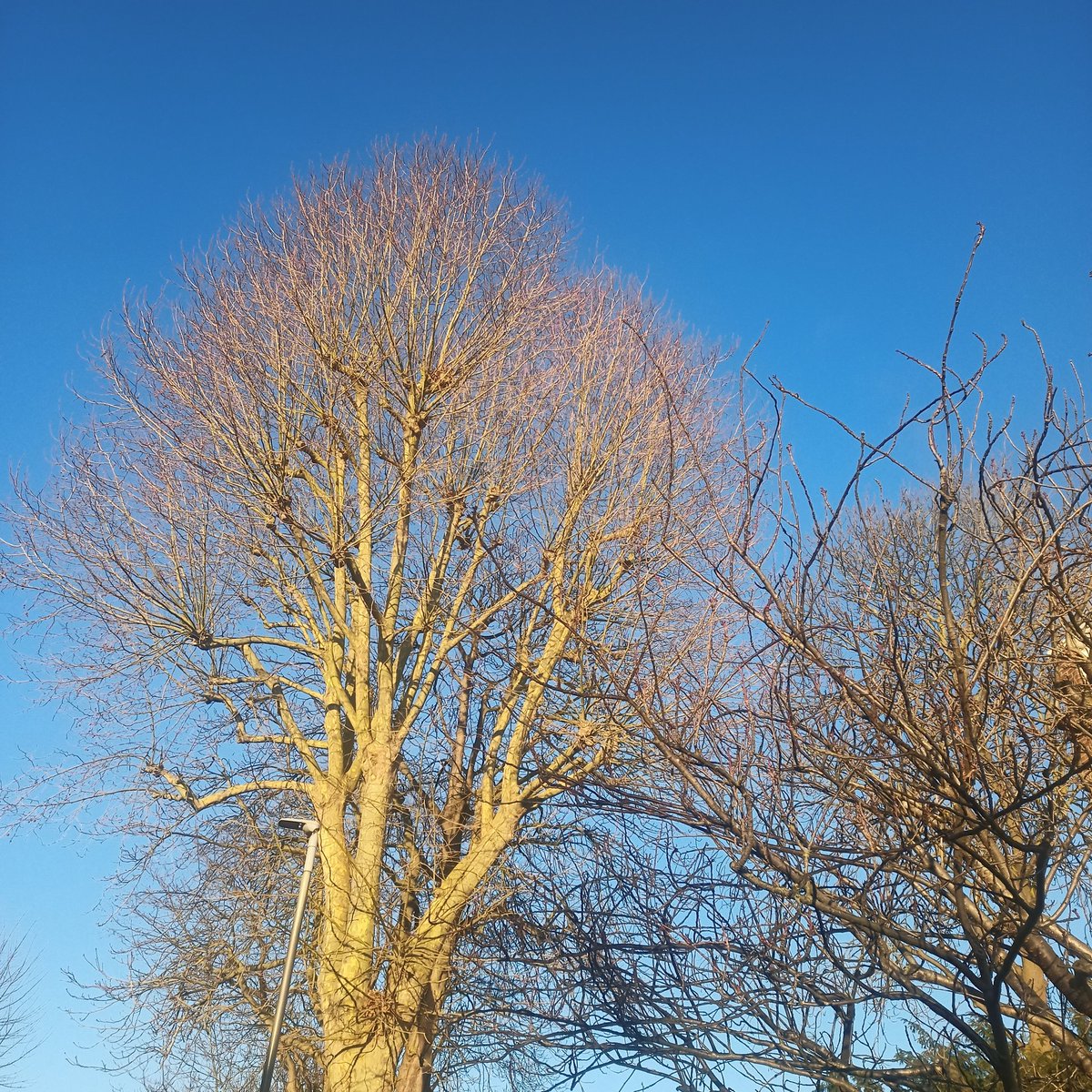 havoviw's tweet photo. Some days are gray with a watery sun. Other days are blue, lighting everything with a brightness that fills you up. Strangely, both are beautiful. #LittleLessons #DifferentAndBeautiful https://t.co/hv87fmPITm