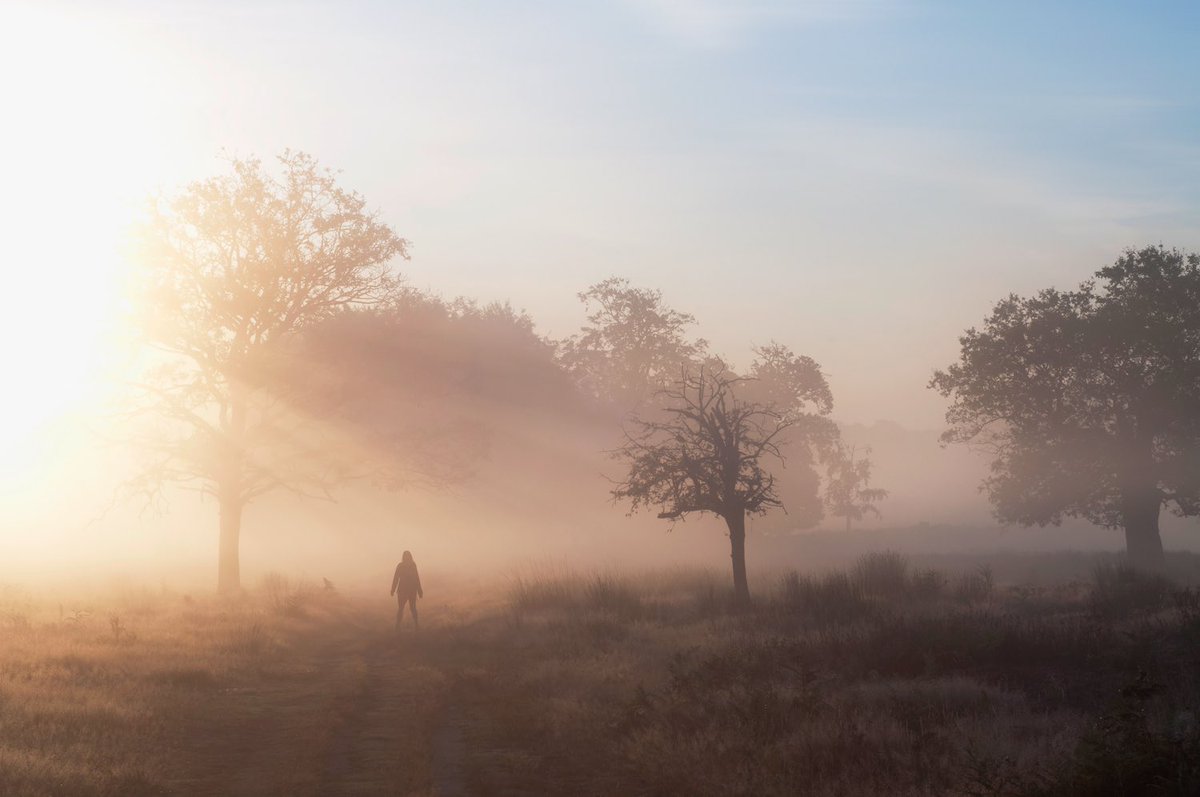 Captain💀🌎 tweet media