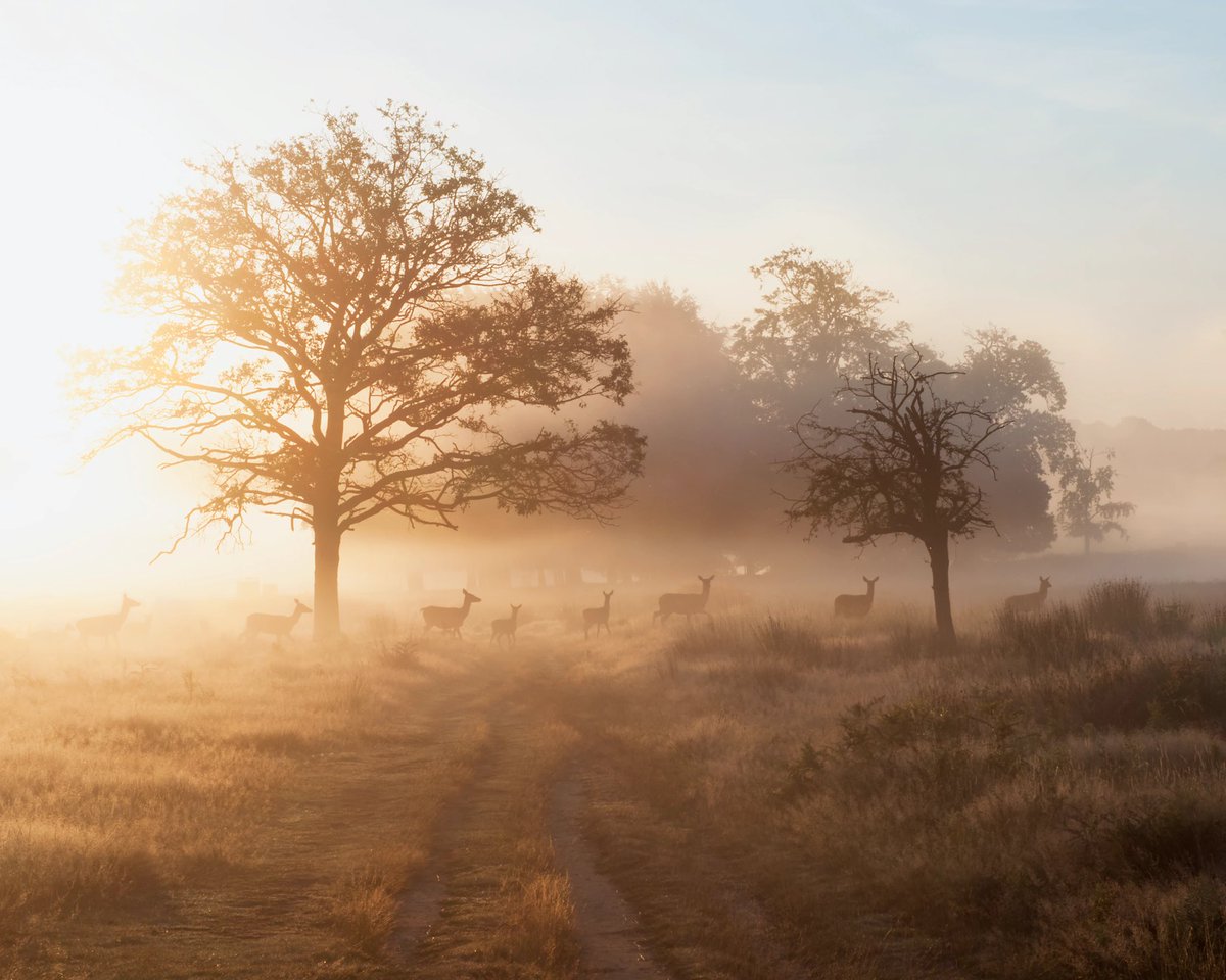 Captain💀🌎 tweet media