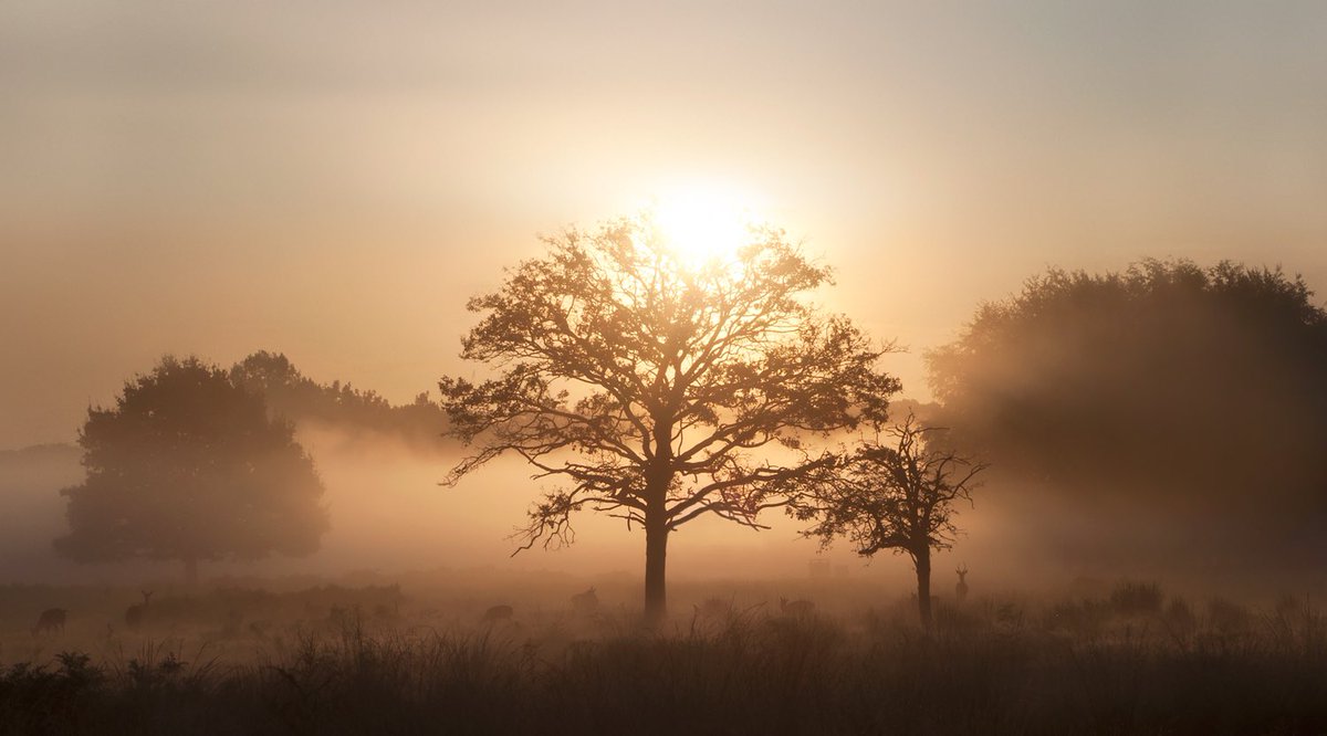 Captain💀🌎 tweet media