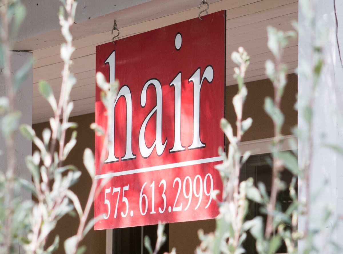 Festival Eclectica tweet media