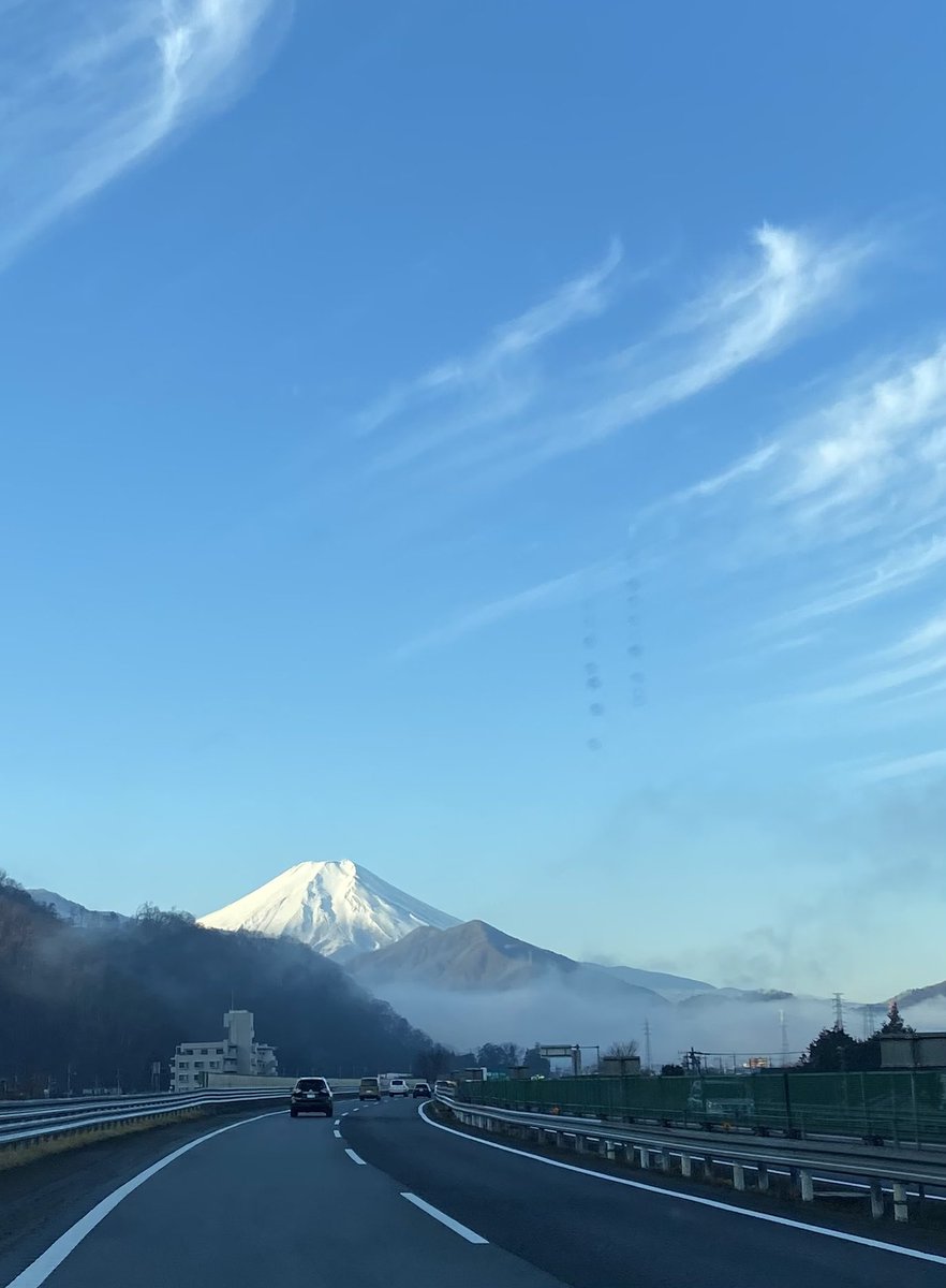モリカ tweet media