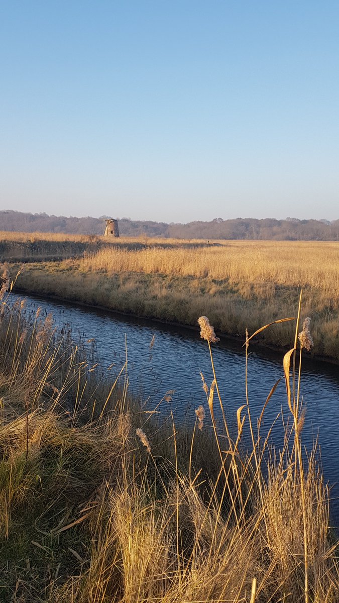 Older Adults Consultant Psychologist in East Suffolk.
Want to lead a fantastic team of Psychologists, APs, CAPs, Therapists (CAT, CBTp and an Art Psychotherapist), Mental Health and Wellbeing Practitioners and posts in our CEN pathway? It's a great job! 

jobs.nhs.uk/xi/direct_appl…