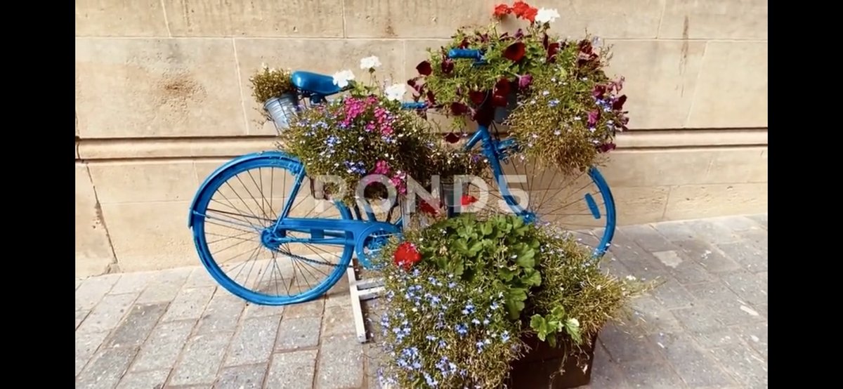 Gorgeous Flower Bike Display | Stock Video | Pond5, check out the footage here: 

pond5.com/stock-footage/…

#flowerdisplay #vintage #vintagebike #streetart #travel #bike #stockvideo