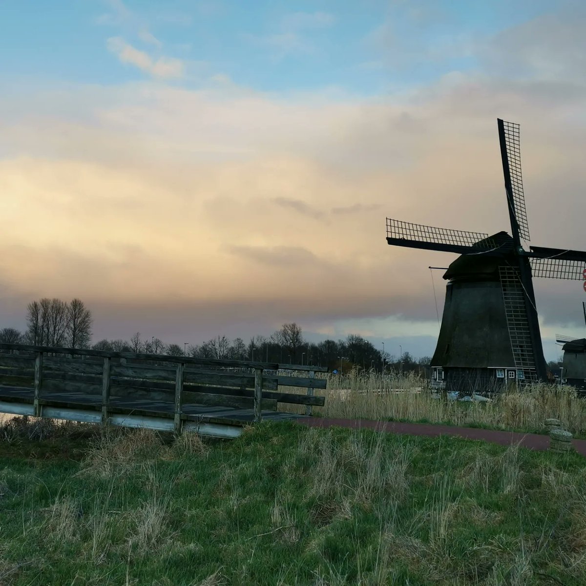 vrijezangvogel's tweet image. #GoedWeekend!
Have a #iceWeekend!