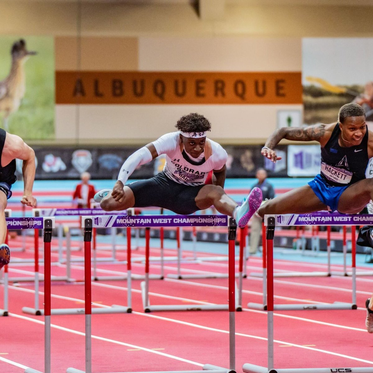 CSUTrackFieldXC's tweet photo. 3⃣ Rams qualify for the finals in the men's 60m hurdles with Germain Barnes leading the way with a time of 8.07 seconds!

Other qualifiers are Cole Nordman and Vincent Flegeance!

#Stalwart x #CSURams https://t.co/4HPTNey9Kd