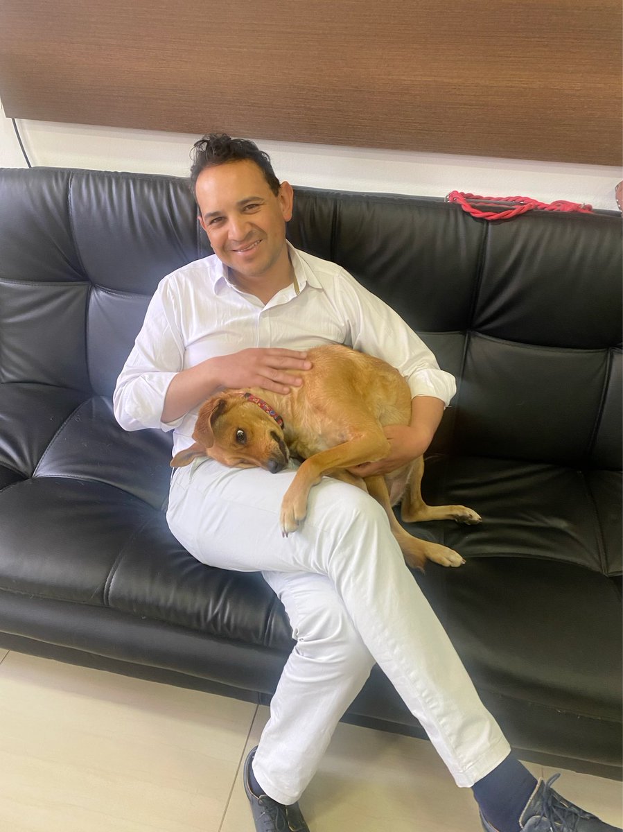 GabrielaVarP's tweet photo. Que maravilla conocer personas que se toman en serio la #Adopcion. Gracias @ALSanCristobal por su compromiso con la protección y Bienestar Animal. 

Esta🐶 llamada #Orfea fue adoptada por su alcalde Local Juan Carlos Triana. 

Infinitas Gracias por tomar esta bella decisión 👏🏻👏🏻 https://t.co/9rkE3miJxu