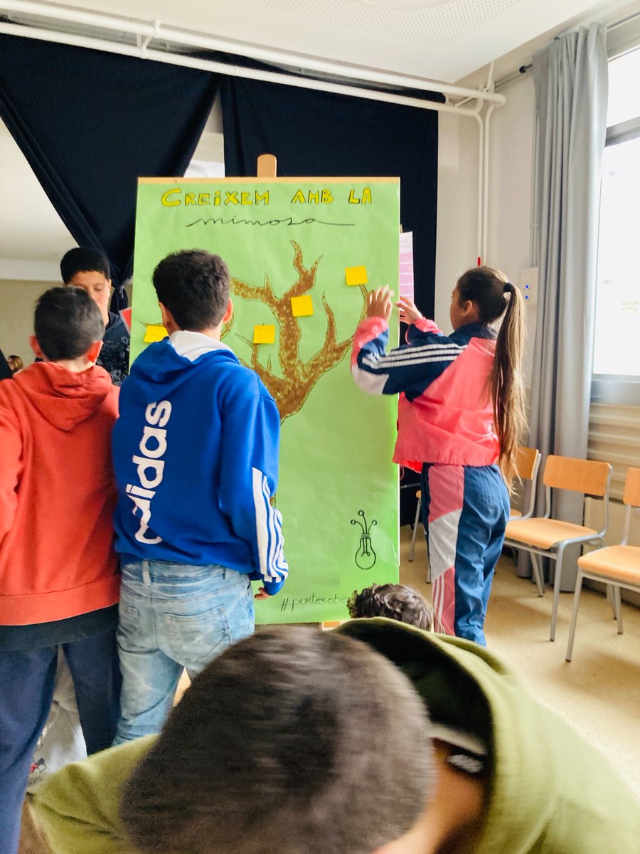 inscanoriac's tweet photo. La MIMOSA ens ajuda a construir una narrativa sobre el significat de créixer i de com de ràpid ho fem, de com entenem les cures a l'@inscanoriac, del vincle i de la importància de les petites coses que ens envolten. #portesobertes #escolesprimària. https://t.co/lgRWeY9nkx