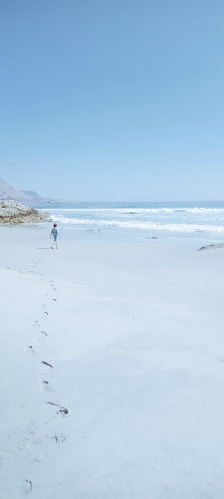 marcelaaraos's tweet photo. Definitivamente la #RegiondeAtacama tiene la mayor cantidad de playas hermosas. Zona privilegiada aguas cálidas arenas blancas, simplemente preciosas #Atacama #Chile #Caldera #Huasco https://t.co/8eE4CrK0UL