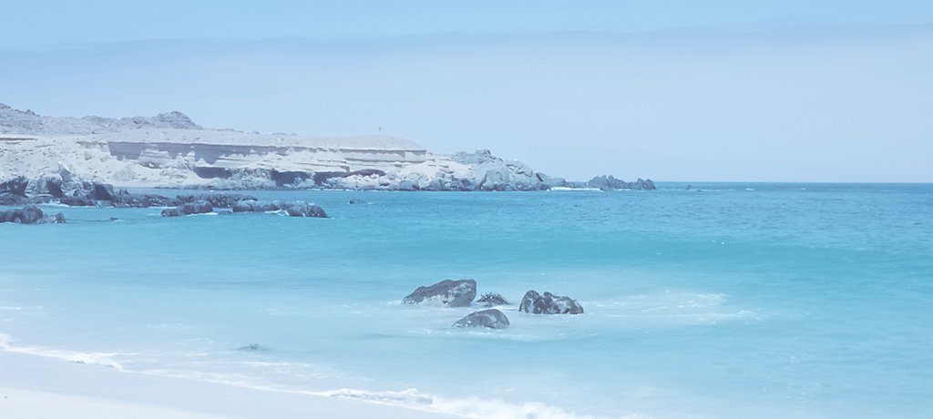 marcelaaraos's tweet photo. Definitivamente la #RegiondeAtacama tiene la mayor cantidad de playas hermosas. Zona privilegiada aguas cálidas arenas blancas, simplemente preciosas #Atacama #Chile #Caldera #Huasco https://t.co/8eE4CrK0UL