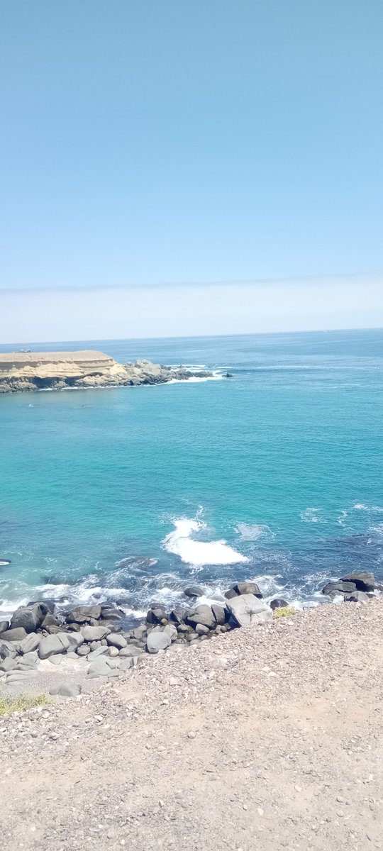 marcelaaraos's tweet photo. Definitivamente la #RegiondeAtacama tiene la mayor cantidad de playas hermosas. Zona privilegiada aguas cálidas arenas blancas, simplemente preciosas #Atacama #Chile #Caldera #Huasco https://t.co/8eE4CrK0UL