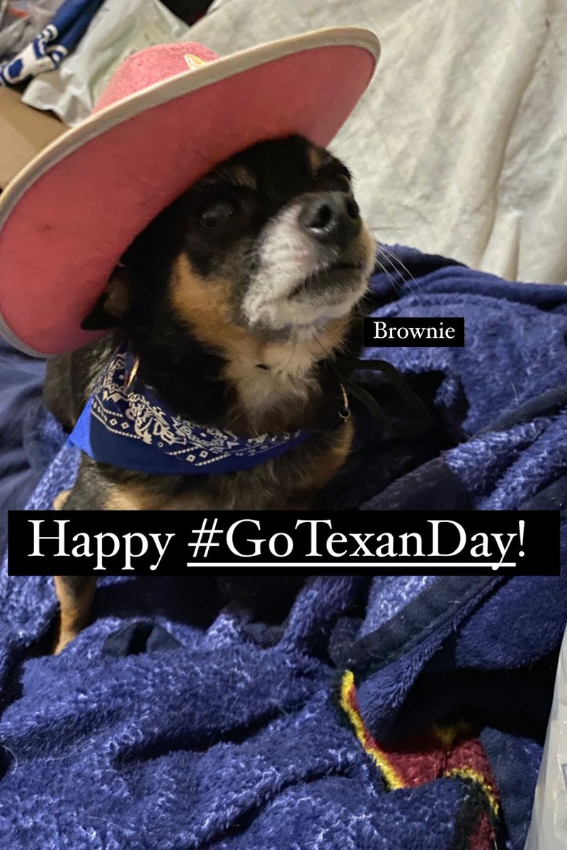 Happy #GoTexanDay from my dog Brownie!