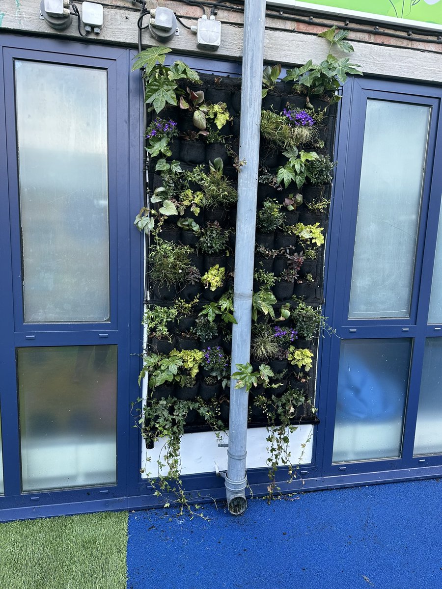 Gaz Bway (@mrbway) on Twitter photo Huge thanks to Angus <a href="/ScotscapeWalls/">Scotscape Group</a> for transforming one of the panels in our paediatric garden into this stunning living wall! 🌸🪴 Huge thanks to Angus <a href="/ScotscapeWalls/">Scotscape Group</a> for transforming one of the panels in our paediatric garden into this stunning living wall! 🌸🪴