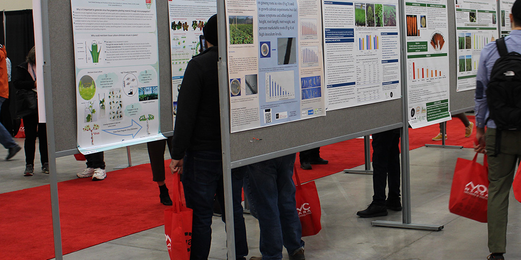 ofvc1's tweet photo. Congratulations to the Student Poster Session winners!
1st place - Lillian Auty, University of Guelph
2nd place - Carly Demers, University of Windsor
3rd place - Quinn Nixon-Goebel, Brock University
#ofvc2023 #posters #students #Winners https://t.co/M3Lh02HIdM