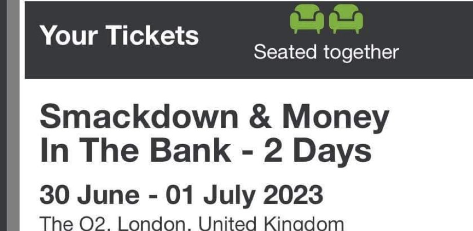 cookie2kaii9's tweet image. #WWE #Moneyinthebank booked wooo 🥳 @19cc89 #MITB