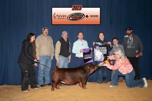 SGIBoars's tweet photo. CHAMPION DUROC GILT & RESERVE GRAND OVERALL
2023 Southwest District Show, OK
Sired by :: MAIN CHARACTER
Raised by :: Herren Genetics, OK
#SGIBOARS https://t.co/yAwe9e9xnq