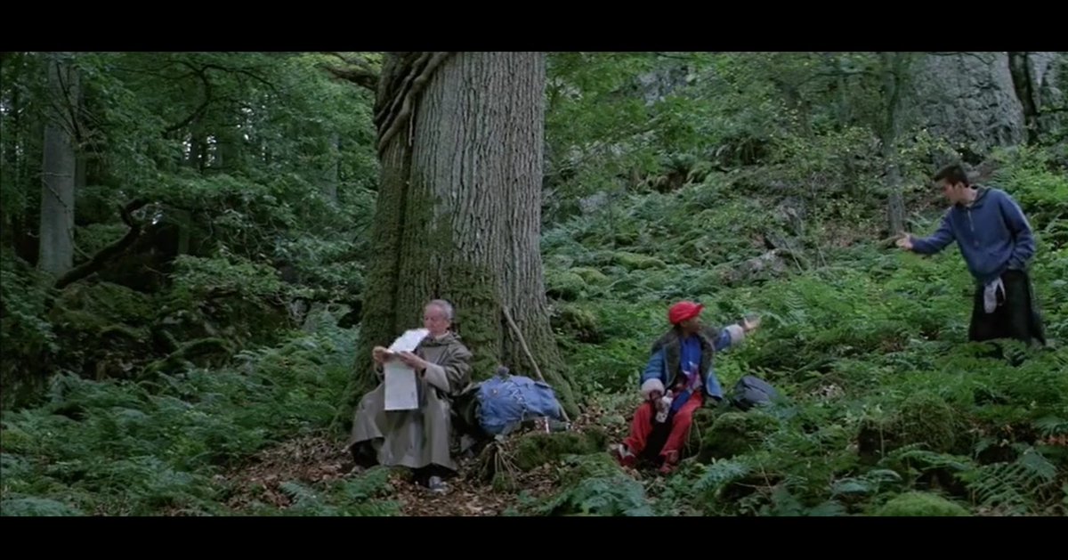 n_blanchard61's tweet photo. Trente deux ans après qu'#YvesMontand se soit adossé contre ce magnifique chêne, le plaisir de retrouver ce lieu et de voir cet arbre toujours debout en forêt d'#Ecouves. Un site a conserver pour les amoureux du #cinéma !☺️
#IP5 #Beneix @ONF_Officiel @Gaumont https://t.co/8gc2VqtgX0