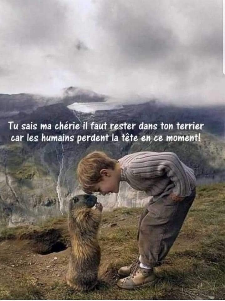 #citations #citation #citationdujour #citationamour #amour #love #citationdusoir #proverbe #citationtriste #texte #penseedujour #quotes #penseepositive #ecriture #couple #instacitation #citationinspirante #phrasedujour #citationcouple