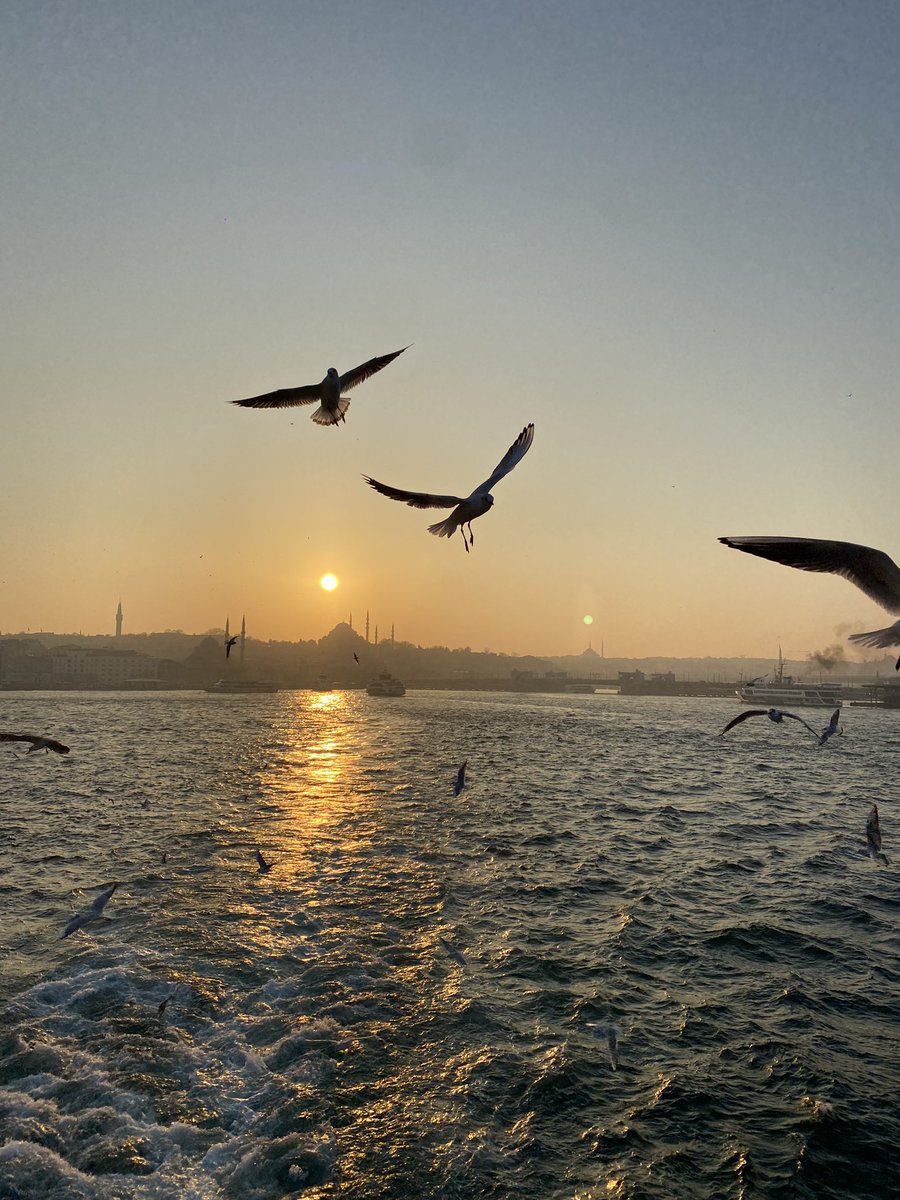 Sen çok ayrı bir mevzusun be İstanbul 
#istanbul 
#vapur 
#guenbatımı