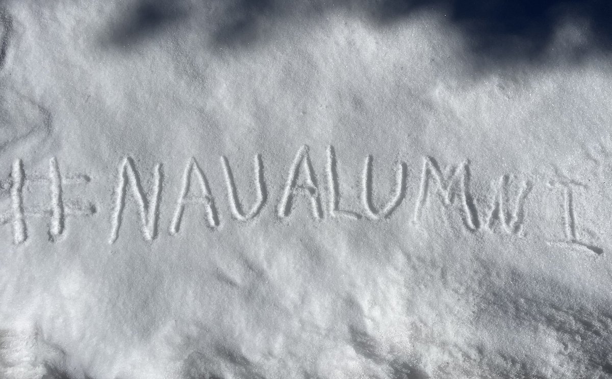 NAUAlumni's tweet photo. Retweet if you’re proud to be part of the #NAUAlumni family! 💙💛 https://t.co/pEB4fpHXzP