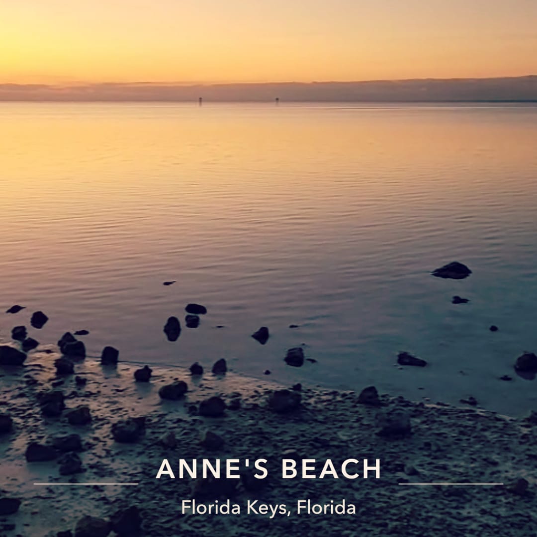 UpTheKeys's tweet image. Anne's Beach 📍
Named for Anne Eaton, an environmentalist who lived in the Islamorada area.

We fully agree with her claim that the Florida Keys is the best place on Earth!

#beach #floridakeys #floridabeaches #morningview #sunrisephotography #ocean #islamorada #upthekeys