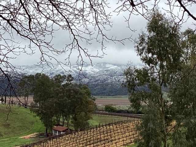 VisitYolo's tweet photo. Snow in Capay Valley? Pinch me, I must be dreaming! πβοΈ The unexpected surprise of snow in this region has left us in awe. Who else is delighted by this rare winter treat?
πΈ: Capay Valley Vineyards
#VisitYolo #CapayValley #WinterSurprise #SnowyMou⦠https://t.co/wXQfIoZBVX https://t.co/eutPJraxH6
