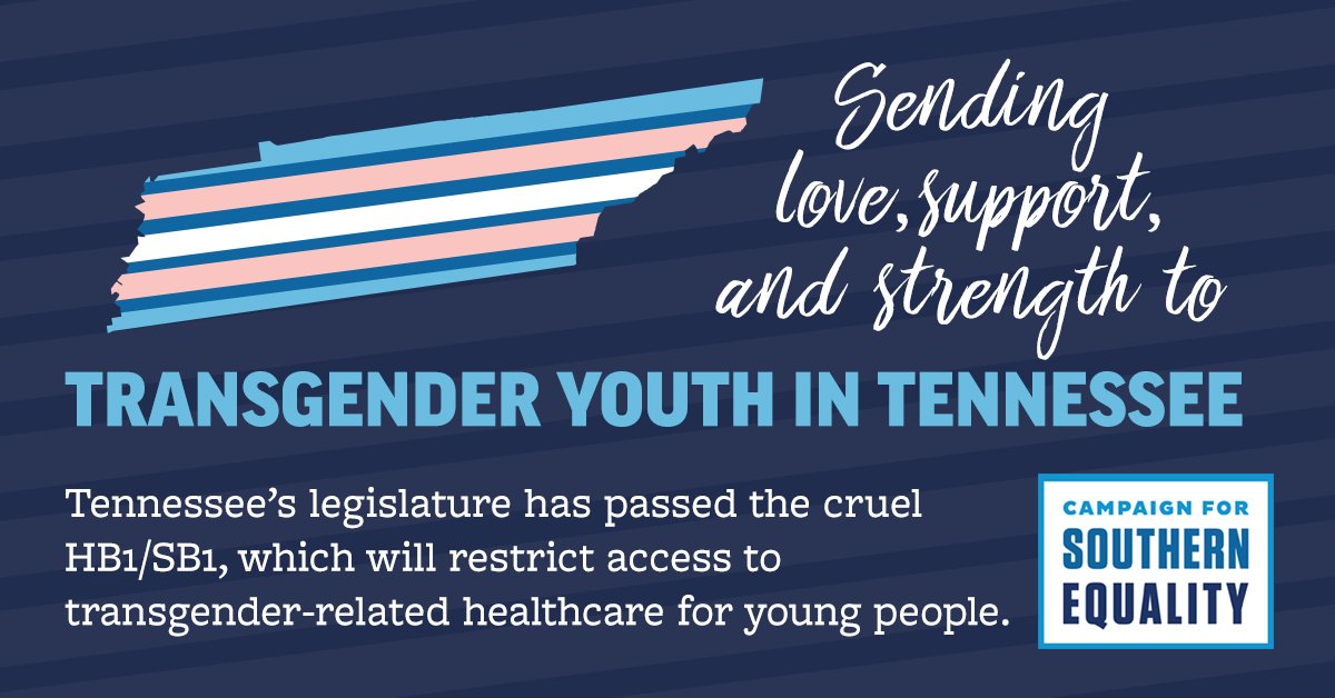 The Tennessee legislature has passed HB1/SB1, which will prohibit access for trans-related healthcare for people under 18. We are sending love + support to every trans youth impacted by this bill. Read our statement w <a href="/inclusion_tn/">inclusion tennessee</a>: bit.ly/TNHB1Statement #ProtectTransKids 1/6