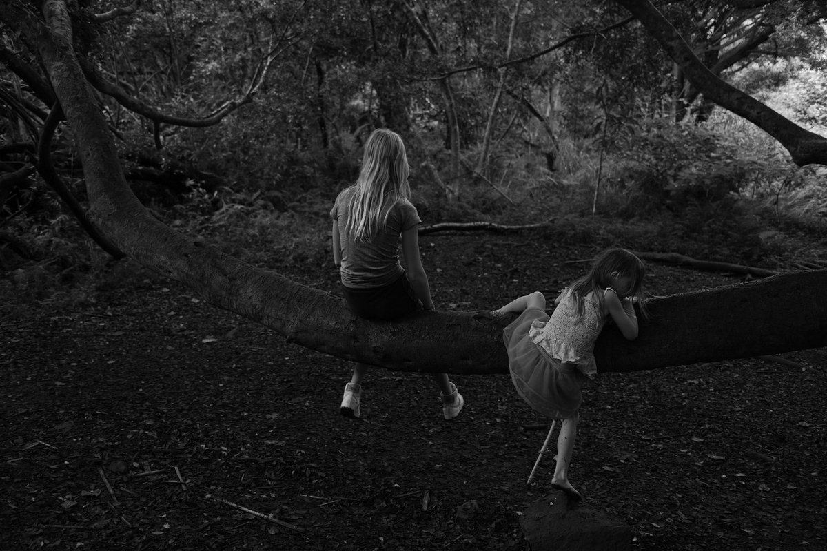 goexplorenft's tweet image. Gm from Maui

We completed the entire Pipiwai trail, and along the way, I carried my little one for some of the journey. The trail led us through a stunning bamboo forest before culminating in a breathtaking waterfall. 

#freedom
#blackandwhitephotography 
#lifelearning