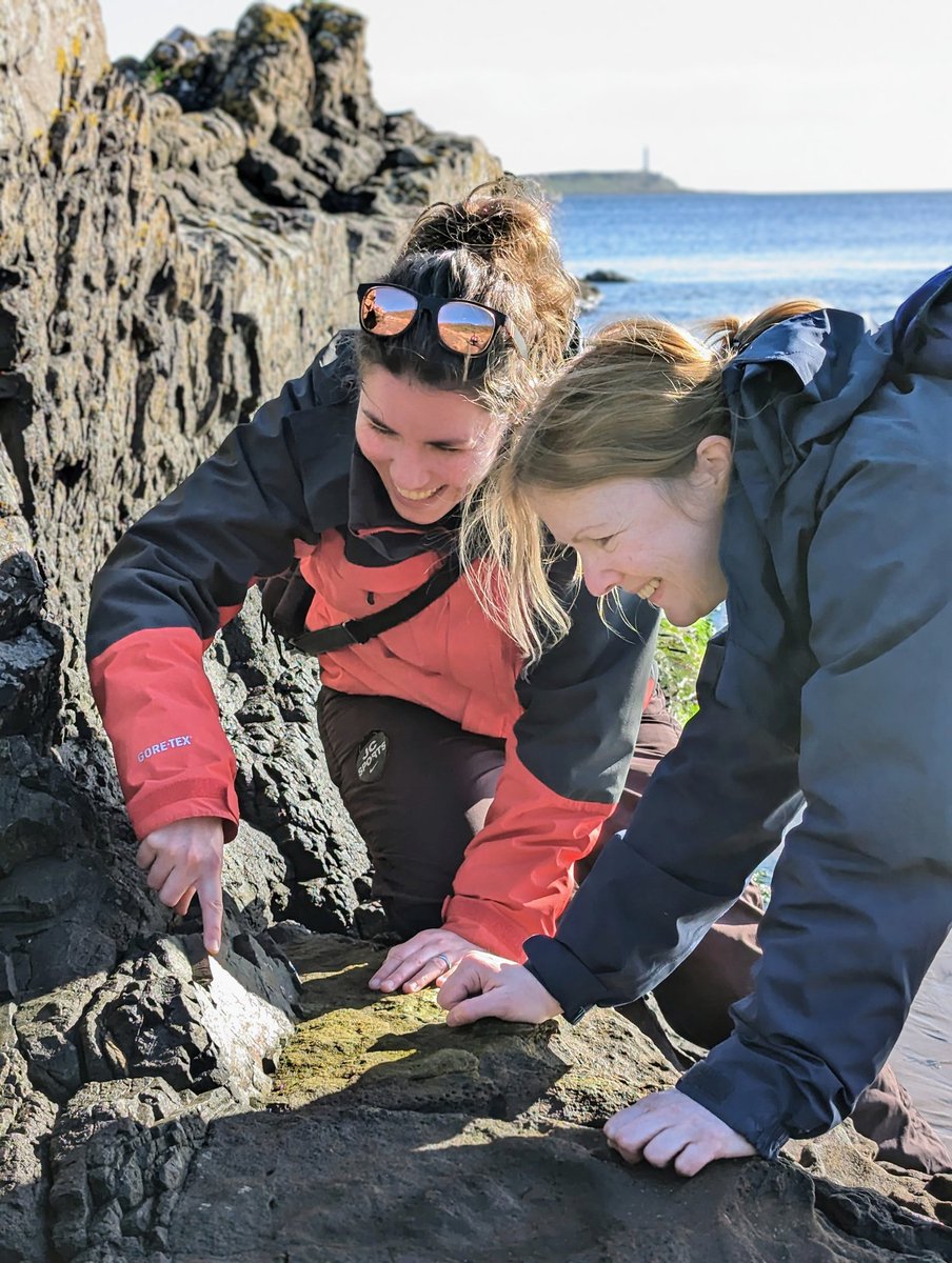 Andrew Miles tweet media