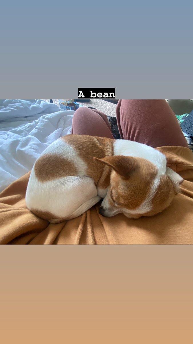 Sara Weems (@_saraw95) on Twitter photo 