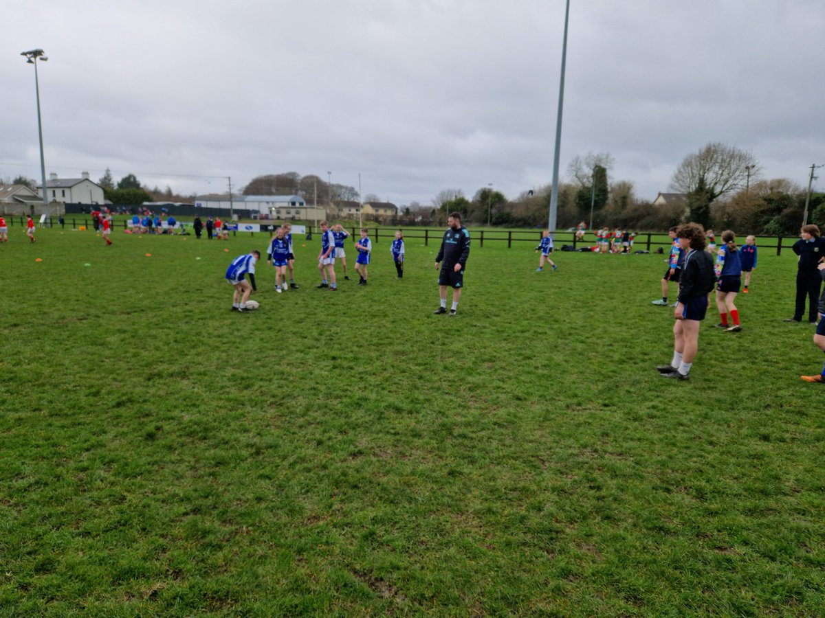 Ardee Rugby CCRO tweet media