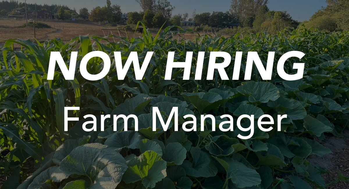 The Cultural Conservancy (@tccnativeland) on Twitter photo 📢Now hiring a new Farm Manager! A full-time position based in California, on a small educational garden and a developing farm on our 7.6-acre land base, Heron Shadow.
👉🏽Learn more and apply: nativeland.org/farm-manager-23 📢Now hiring a new Farm Manager! A full-time position based in California, on a small educational garden and a developing farm on our 7.6-acre land base, Heron Shadow.
👉🏽Learn more and apply: nativeland.org/farm-manager-23