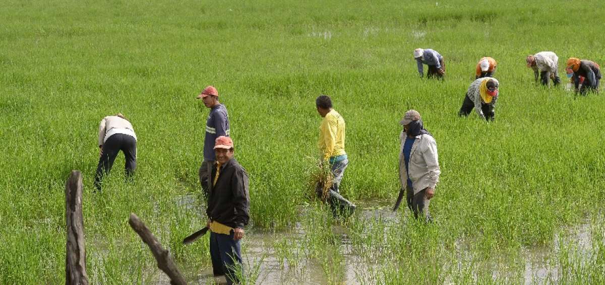 Nuestros deseos de éxitos a la Prefecta electa <a href="/marcelaguinaga/">Marcela Aguiñaga</a>. Trabajar y escuchar a nuestros agricultores también será vital para el progreso de nuestra provincia. #OrgullososDeSerMontubios #Poupettekenza