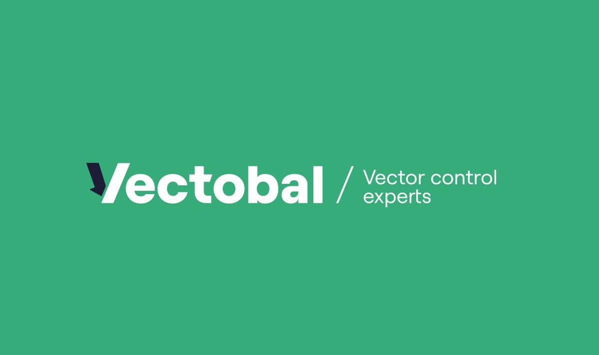 vectobal's tweet photo. 💚Nueva imagen corporativa #VECTOBAL💚 
✅Actualizamos el logotipo y la iconografía para modernizar nuestra marca y reforzar nuestro crecimiento empresarial ¡Esperamos que el cambio os guste tanto como a nosotros!🤩Gracias a #LNdisseny por los diseños y el proyecto👏 https://t.co/caoh2vnuEE