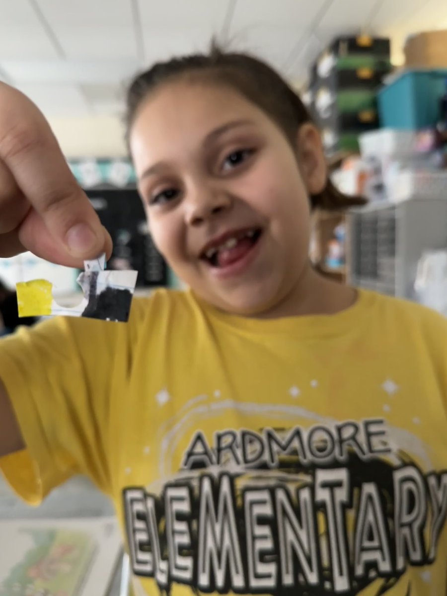 This student designed her own black bear shirt for Friday spirit days, tag included! Only $100, order yours today! 🤣🖤💛 #asd4all @ardmoreschool4