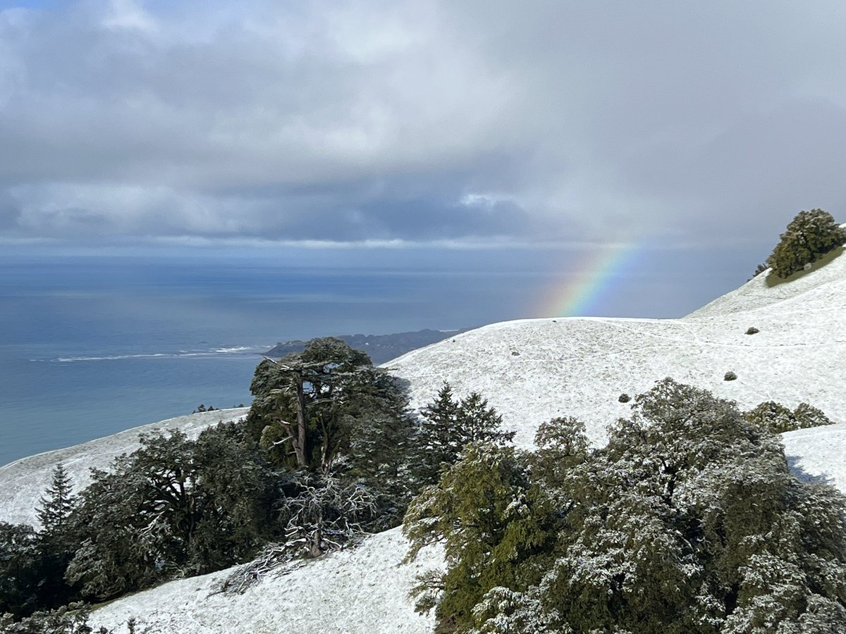 MichaelWWara's tweet photo. Mt Tamalpais early this morning was really special. https://t.co/Hh0lnPmvdw
