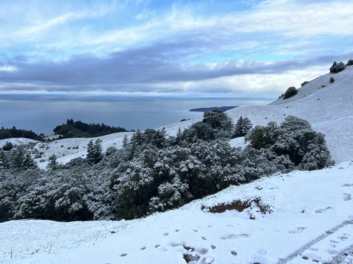 MichaelWWara's tweet photo. Mt Tamalpais early this morning was really special. https://t.co/Hh0lnPmvdw