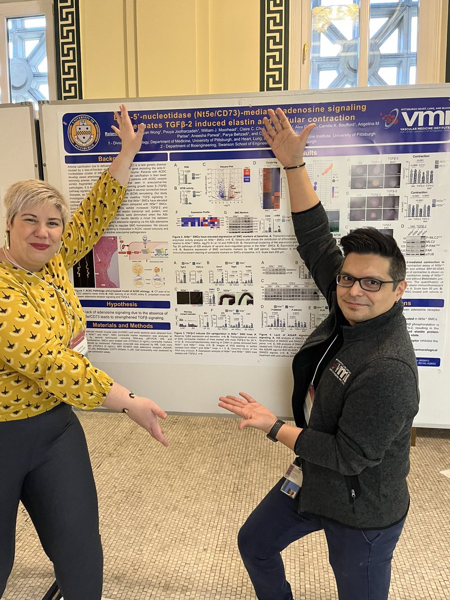 Sruti Shiva (@srutishiva) on Twitter photo Lots of exciting science being presented by <a href="/PittVMI/">Vascular Medicine Institute</a> trainees today at AHA Fellows Research Day!@AHAScience Lots of exciting science being presented by <a href="/PittVMI/">Vascular Medicine Institute</a> trainees today at AHA Fellows Research Day!@AHAScience