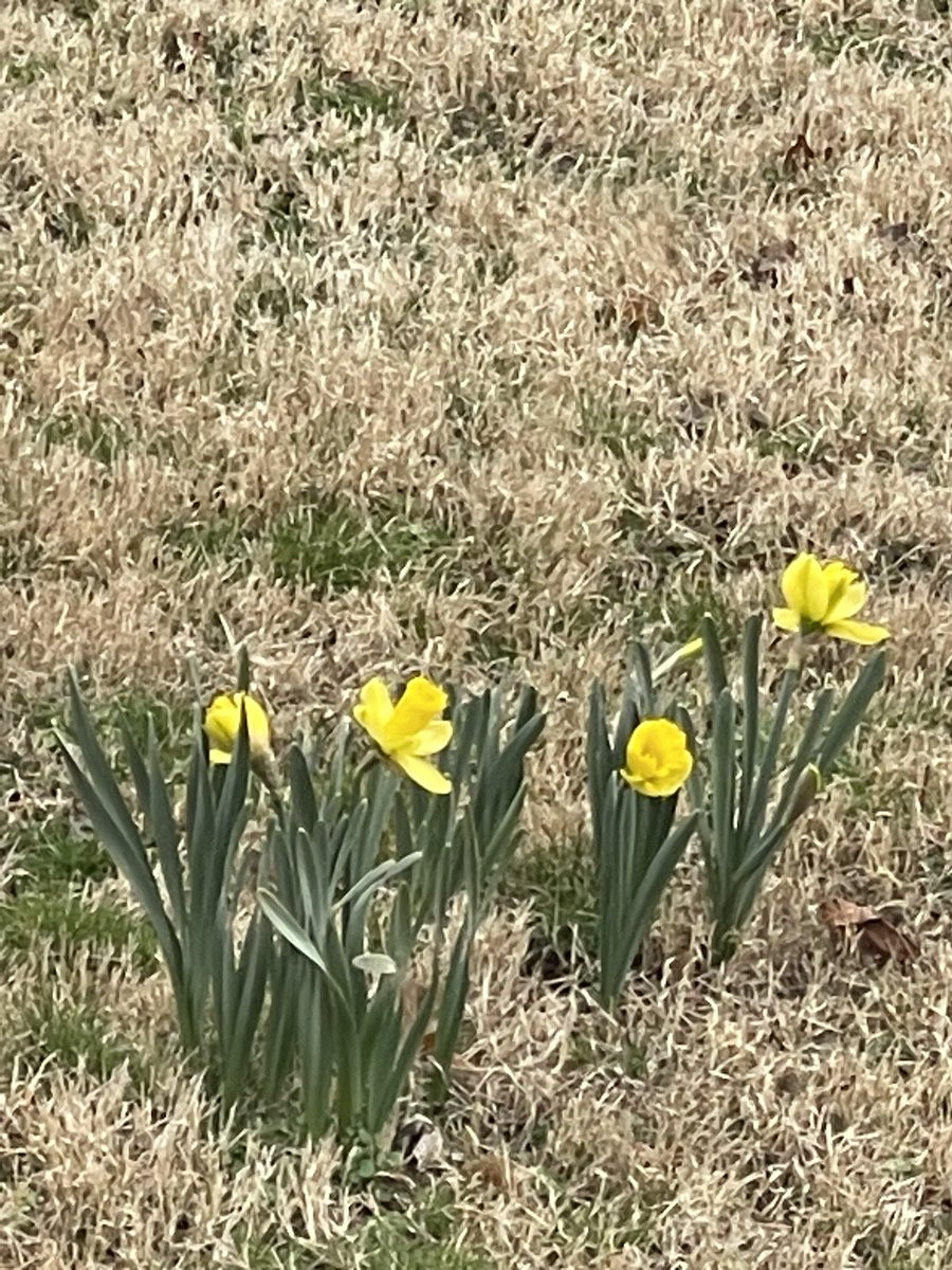 It’s spring outside A9!!