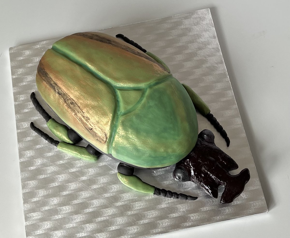 Dr Emma Louise Nicholls tweet media