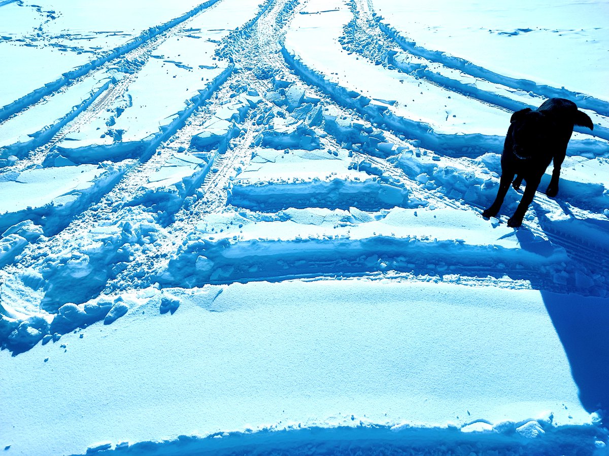 mhuggins_'s tweet photo. Almost -40° with the wind-chill here...

But the Sun is getting higher and all kinds of patterns drew me outside to take a closer look

Is it a sign of good fortune? Maybe...

Doesn't really matter... seeing it was the gift

#touchsnow https://t.co/og2SAZaLWY