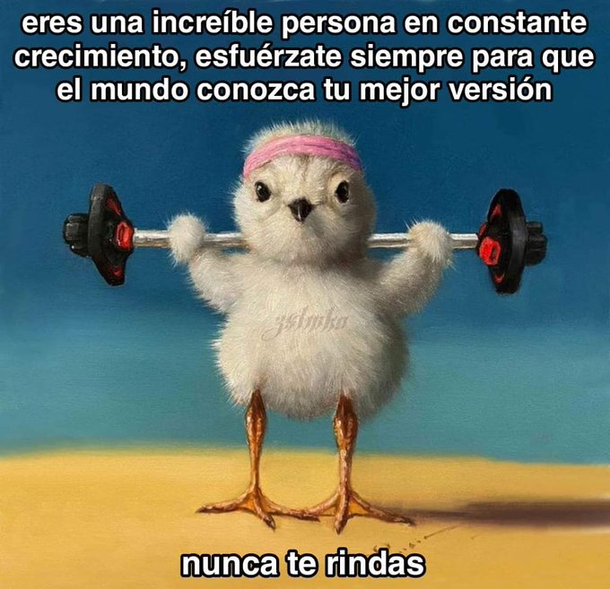 🎀 https://t.co/5TlOvcChQO<a href="/tag/talksexxxycb"class="tags"><span>#talksexxxycb</span></a>